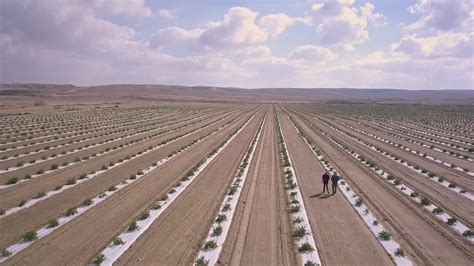 Agriculture in the Negev: Today’s Desert Pioneers (5-minute clip) - YouTube