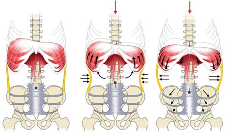 Preventing Repetitive Training Injuries – Coreroanoke.com