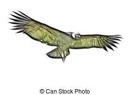 Download Andean Condor clipart for free - Designlooter 2020 👨‍🎨