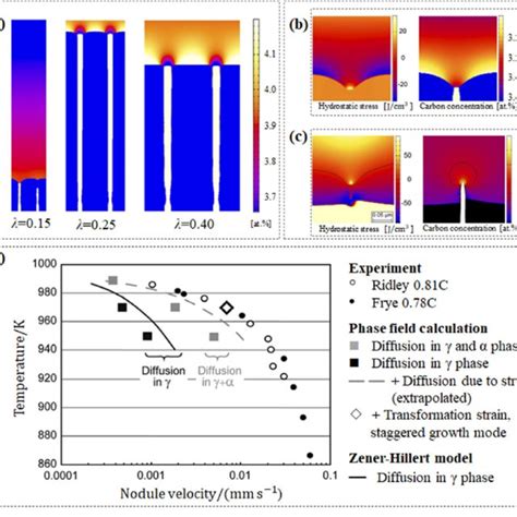 Pearlite formation in Fe-C alloy. a Carbon concentration fields at time... | Download Scientific ...