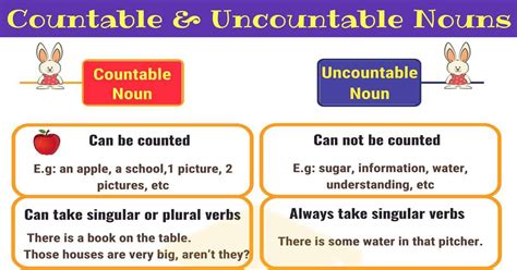 Countable and Uncountable Nouns: Useful Rules & Examples