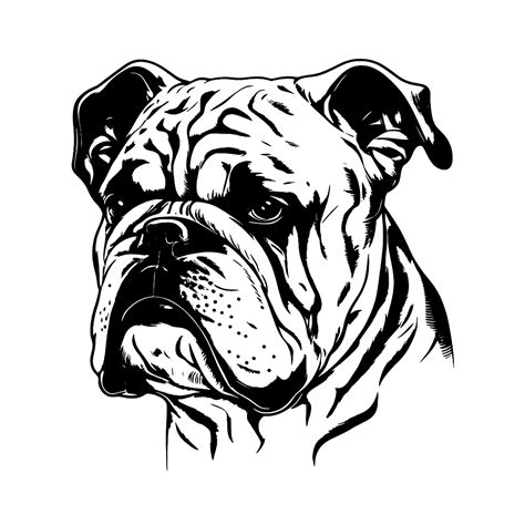 A Bulldog logo Illustration - MasterBundles