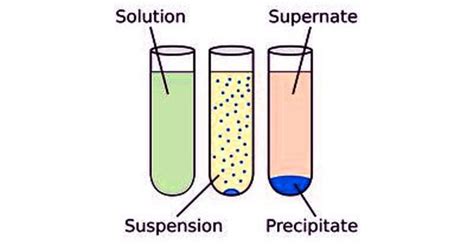 Solubility in Chemistry - Assignment Point