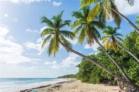 8 Most Beautiful Martinique Beaches | France Bucket List