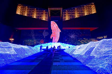 Holiday Illumination at Osaka Aquarium Kaiyukan (海遊館) in O… | Flickr