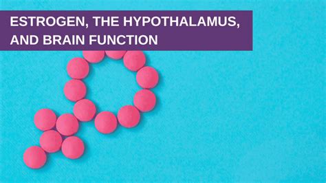 Estrogen, the Hypothalamus, and Brain Function - Genesis Gold