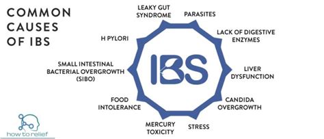 Irritable Bowel Syndrome (IBS) : Symptom, Causes, Treatment & Diet ...