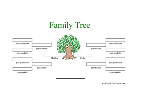 Family Tree Template: Family Tree Template Three Generation