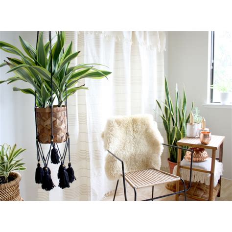 Plantas colgantes - ideas para el interior