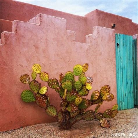 Desert colors. | Cactus, Color schemes, Desert rose