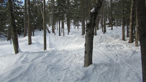 Tomcat's Outdoor Adventures: Skiing Black Mountain of Maine