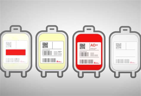 Blood Transfusion Blood Bag Label Template