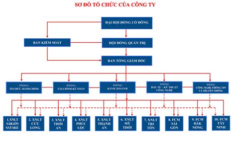 Sơ đồ tổ chức doanh nghiệp là gì? - Quản lý công việc