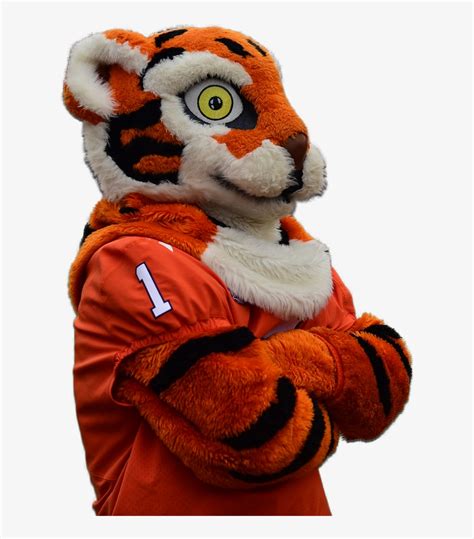 Clemson Tiger Mascot - Clemson University Transparent PNG - 614x854 ...