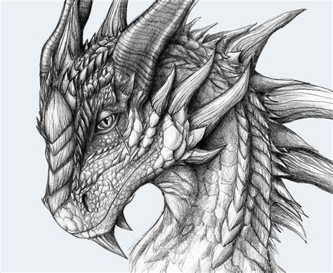 How To Draw A Realistic Dragon Head