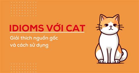 4 idioms with cat - Thành ngữ liên quan đến mèo hay bạn nên nhớ