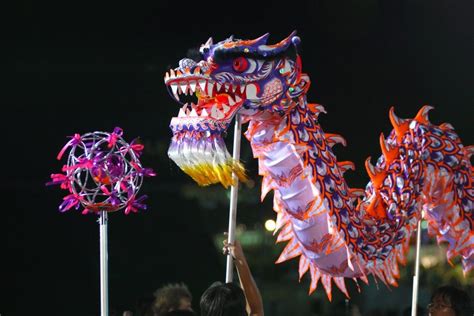 Dragon Dance : A Spectacular Chinese Cultural Entertainment | Dragon ...