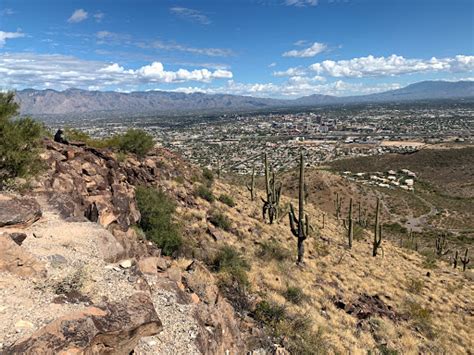 Tumamoc Hill Hiking Trail - Atracción turística en Tucson, Arizona - MiTravia