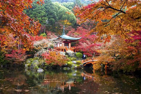 Top 10 Temples and Shrines for Koyo & Momiji in Kyoto - GaijinPot Travel