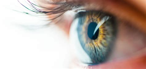 Orthokeratology - Gwynedd Valley Eye Care