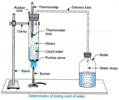 NCERT Class 9 Science Lab Manual - Melting Point of Ice and Boiling ...