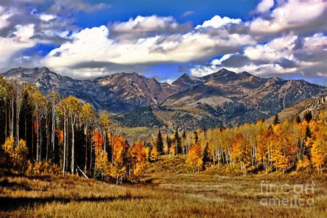 Rocky Mountain Fall Photograph by Southern Utah Photography