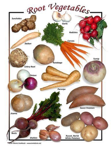 Image result for veggies diagrams | Fruits and vegetables list, Vegetable recipes, Root veggies