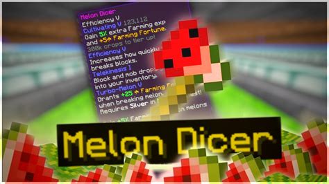 I COMPLETE our MELON FARM in HYPIXEL SKYBLOCK! - YouTube