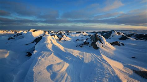 Arctic's Hudson Bay Warming Rapidly, at Tipping Point