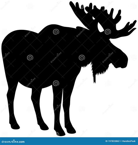 Standing Bull Moose Silhouette in Profile Stock Vector - Illustration of animal, wildlife: 197833862