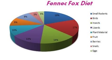 Diet - Fennec Fox