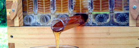 Flow Hive honey harvester demonstrates the sweet success of viral ...