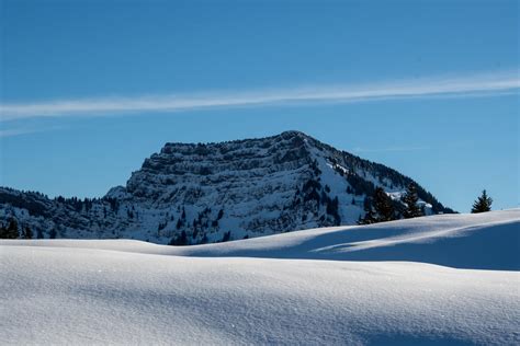 Things To Do In Toggenburg Switzerland - Guide For Tourist