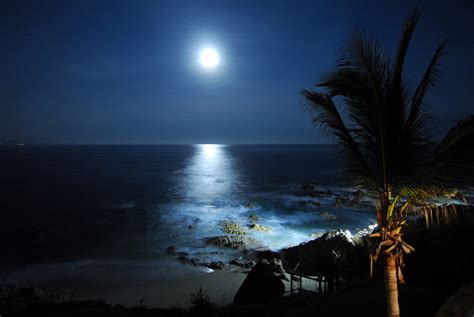 🔥 [40+] Beach Moon Wallpapers | WallpaperSafari