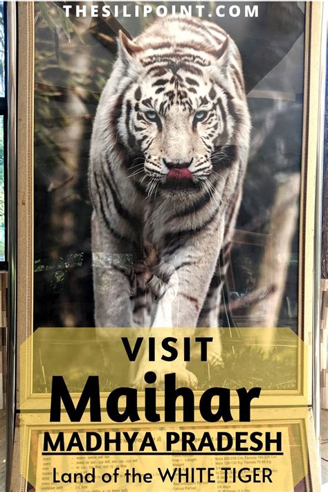 Travel to Maihar in Madhya Pradesh - offbeat destination of Art and Nature