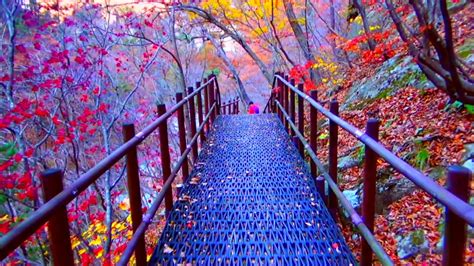 √ Seoraksan National Park Autumn - Popular Century