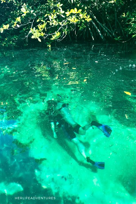 Scuba Diving in Yucatan Cenotes of Mexico