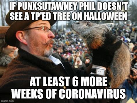 Phil The Groundhog Memes / Punxsutawney phil is the only true weather forecasting groundhog.