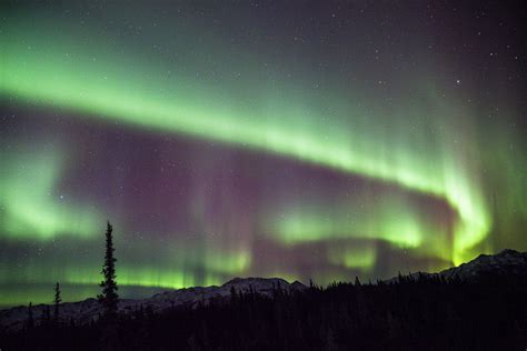 Northern Lights over Denali | Northern lights, Denali national park ...