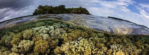 Solomon Islands snorkeling tour - Coral Triangle Adventures