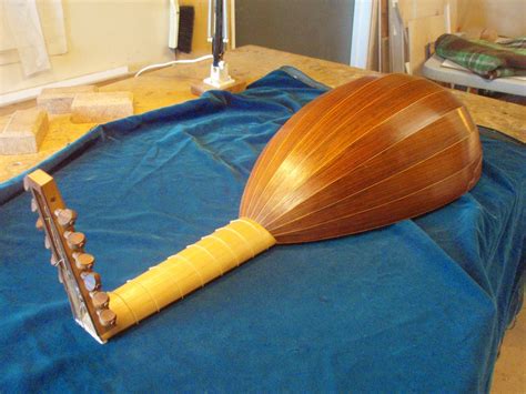 The Lute's Progress,: Calling all lute makers!