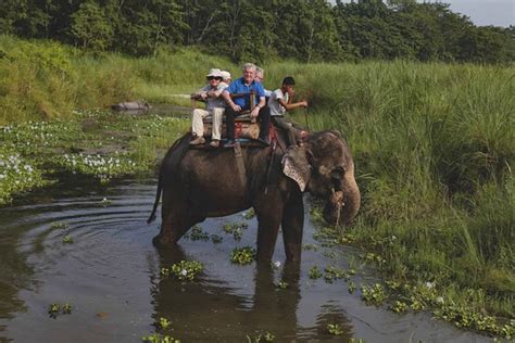 Jungle Safari Chitwan (Sauraha) - All You Need to Know BEFORE You Go