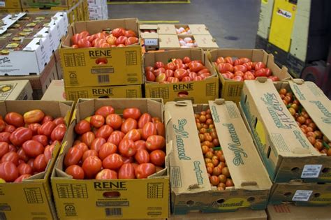 cardboard boxes filled with tomatoes free image | Peakpx