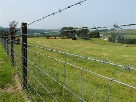 Anti Corrosive Steel Galvanized Barbed Fencing Wire With 2.5-4 Mm Diameter Wire Application ...