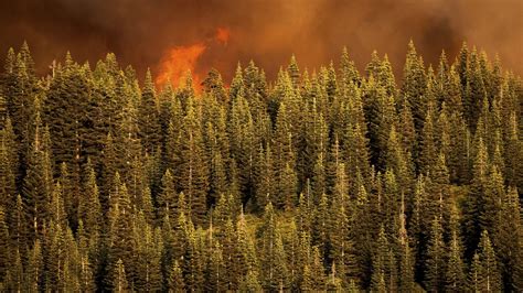 Angeles, Cleveland National Forests to close amid wildfires