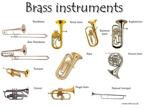 Instrument families by Danielle Jones