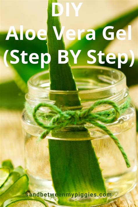 Aloe Vera Gel: Make Your Own, DIY, Step By Step, -Sand Between My Piggies | Diy aloe vera gel ...