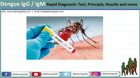 Dengue IgG / IgM Rapid Diagnostic Test, Principle, Results and more | Lab Tests Guide