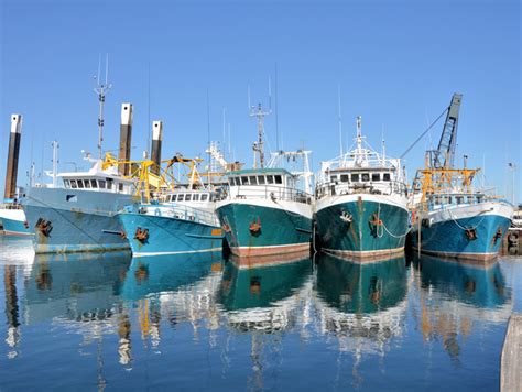 Fishing Industry Must Adapt to the Profound Impacts of Climate Change ...