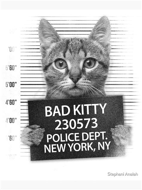 "Funny Bad Kitty Cat Lovers Gift Cute Cat Meme" Poster by starchild777 | Redbubble